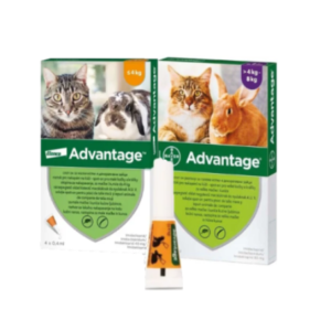 Advantage Pipeta Pisica - peste-4-kg