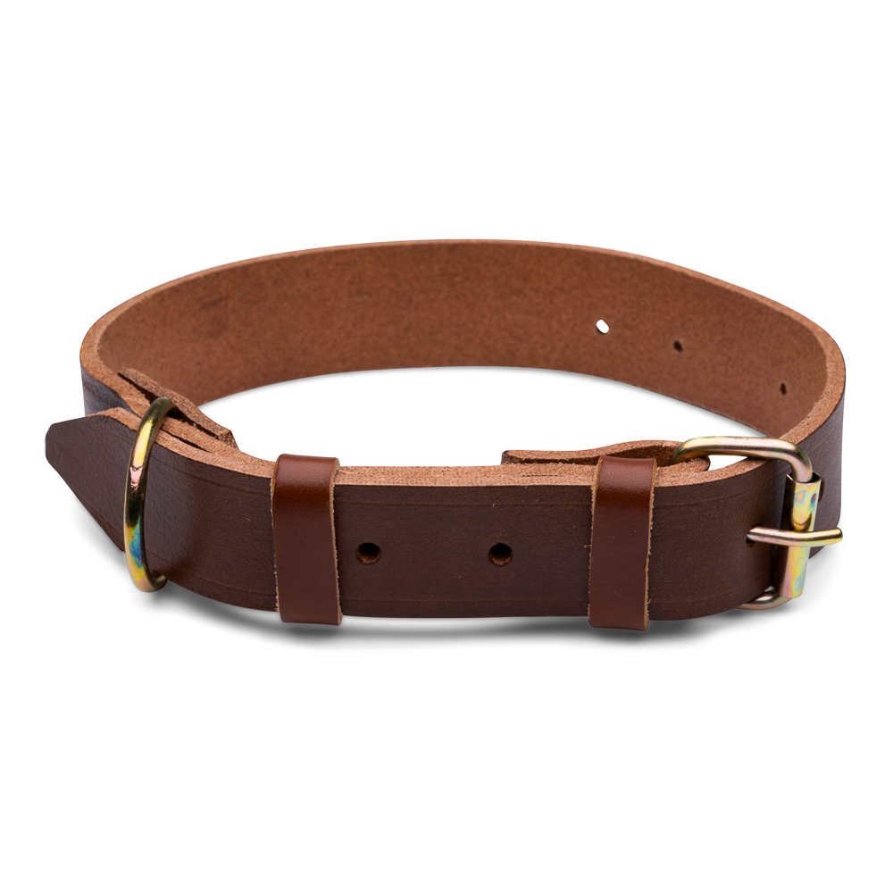 Zgarda caine 3cm nr.3