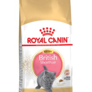 Royal Canin Felin British Shorthair Kitten - 400-g
