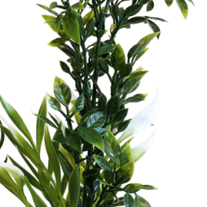 Sydeco Planta Tropica Bouquet 20 cm 350107
