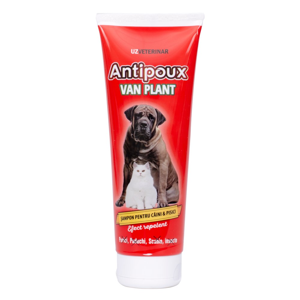 Sampon antipoux plant 250ml
