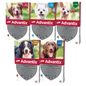 Advantix Pipeta Caine - l
