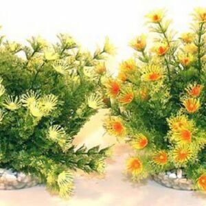 Sydeco Plante Marina Bowl 21cm 349610
