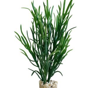 Sydeco Planta Sea Grass Baby 16 cm 349646