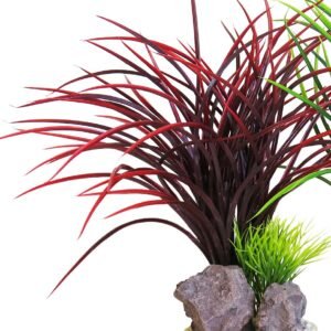 Sydeco Planta Acorus Rock 28 cm 349811