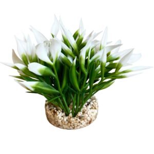 Sydeco Planta Nano Bush Natural 9 cm 350146