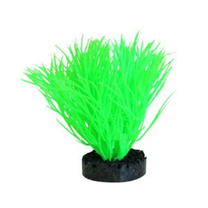 Sydeco Planta Sunny Plant 11 cm 380163