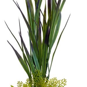 Sydeco Planta Amazon Grass 21 cm 380294