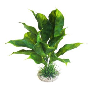 Sydeco Planta Anubias Plant 28 cm 380347