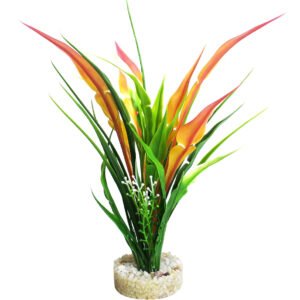 Sydeco Planta Anubias Pearl 22 cm 380434