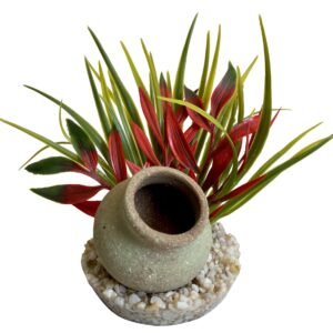 Sydeco Planta Mini Jug Plant 15 cm 380482