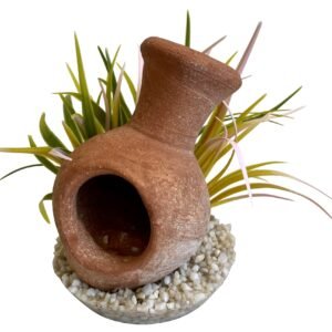 Sydeco Planta Whisky Jar Plants 18 cm 380489