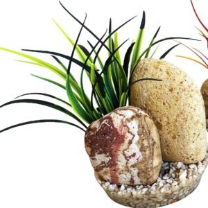Sydeco Decor Rainbow Stone Plants 14 cm 380505