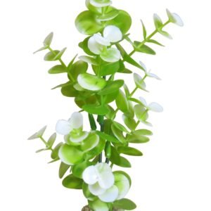 Sydeco Planta Aqua Eucalyptus 23 CM 385002