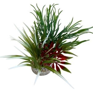 Sydeco Planta Aqua Oasis 24 cm 385007
