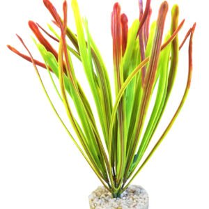 Sydeco Planta Acorus Vivarium 30 cm 385104