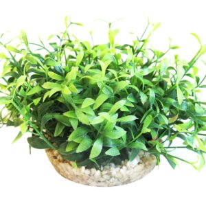 Sydeco Planta Amazon Vivarium 10 cm 385107