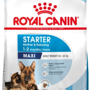 Royal Canin Maxi Starter Mother & Babydog - 15-kg,royal-canin