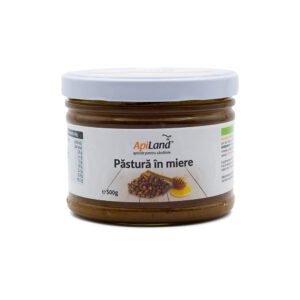 Pastura in miere ApiLand, 30% pastura in miere cruda poliflora, supliment natural cu gust dulce, borcan mare 500g - Default Title