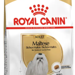 Royal Canin Maltese Adult - 1-5-kg,royal-canin