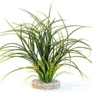 Sydeco Plante Fan Grass 30cm 349607