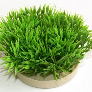 Sydeco Plante Green Moss 07cm 349720