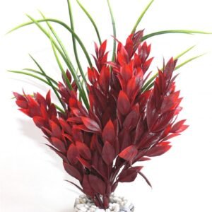 Sydeco Plante Red Ruscus 25cm 349667