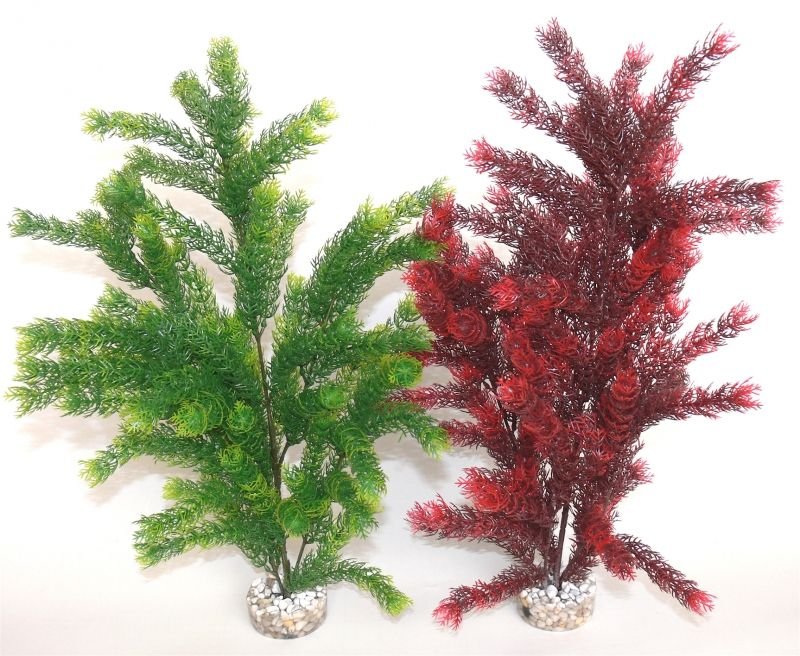 Sydeco Plante Sea Pearl Maxi 45cm 350119