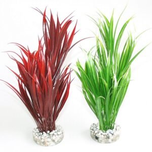 Sydeco Plante Sword Plant 25cm 350113