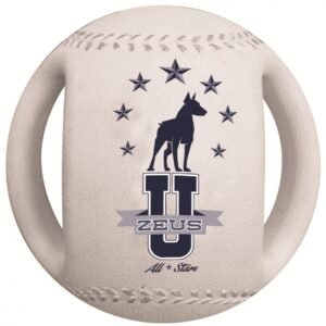 Zeus Minge Baseball