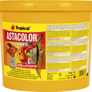 ASTACOLOR Tropical Fish, (Red Discus) 11 L/20KG