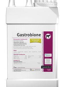 Supliment pentru probleme gastrice Vet Expert Gastrobione, 500 ml