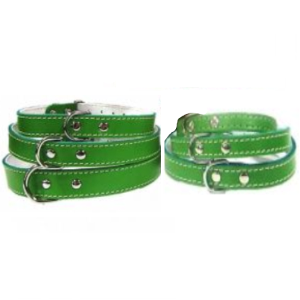 Pet Expert Zgarda Pasla Verde - nr-3