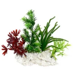 Sydeco Planta Maxi Rocky Coast 28 Cm 380078