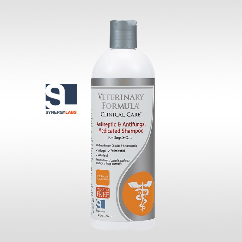 VFCC, Sampon terapeutic Antiseptic & Antigfungic , Synergy Labs, 237ml