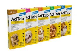 Antiparazitar extern pentru caini AdTab (1.3-2.5 kg), 1 comprimat masticabil