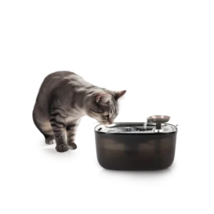 All for Paws Quiet Stream Cat Fantana pentru Pisici 2 L