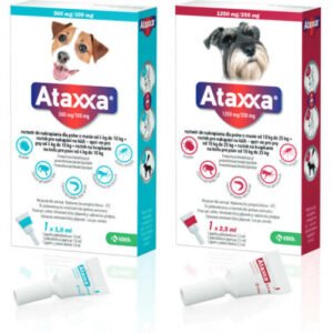 Ataxxa Caine, 1 pipeta