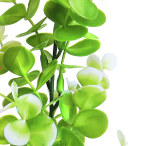 Sydeco Planta Water Eucalyptus 22 cm 350118