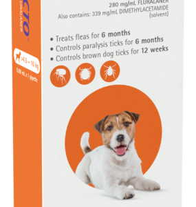 Antiparazitar extern pentru caini intre 4.5-10 kg Bravecto, 1 pipeta