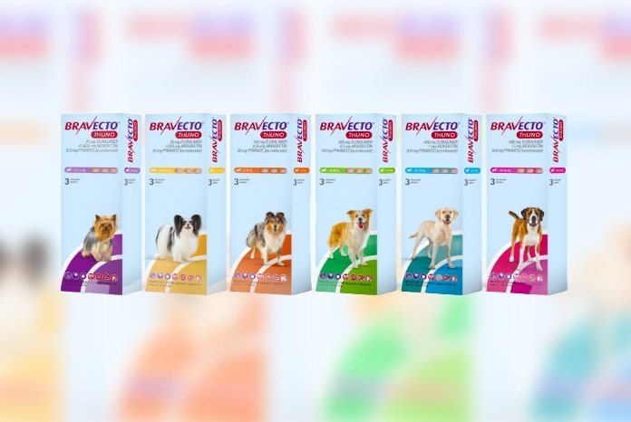 Bravecto TriUNO, 1 tableta