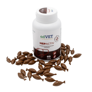 Supliment hepatic pentru caini si pisici HepActiv, 60 capsule