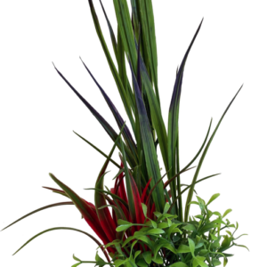 Sydeco Planta Sword Bouquet 28 cm 350204