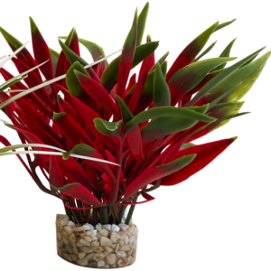 Sydeco Planta Nano Fiesta 13 cm 380090