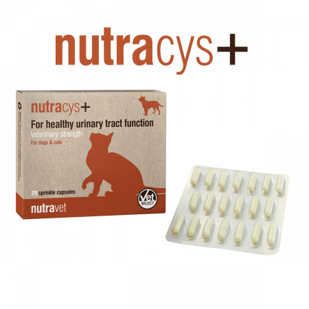 Nutravet Nutracys+ Supliment tract urinar câini și pisici: 20 capsule, formulă triplă acțiune