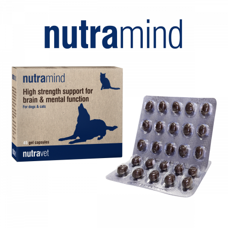 Nutravet Nutramind Sprijin pentru Sanatatea Creierului Caini si Pisici 45 Capsule