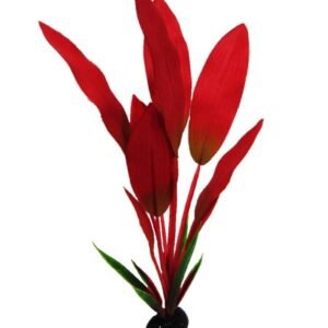 Resun Planta Matase Amazon Red 20 cm
