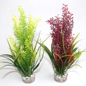 Sydeco Plante Tropica 20cm 350107