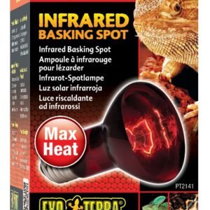 Bec Exo Terra Infrared 50 W PT2141
