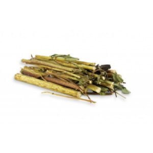 Tije de topinambur pentru rozatoare Jr Farm 30 g